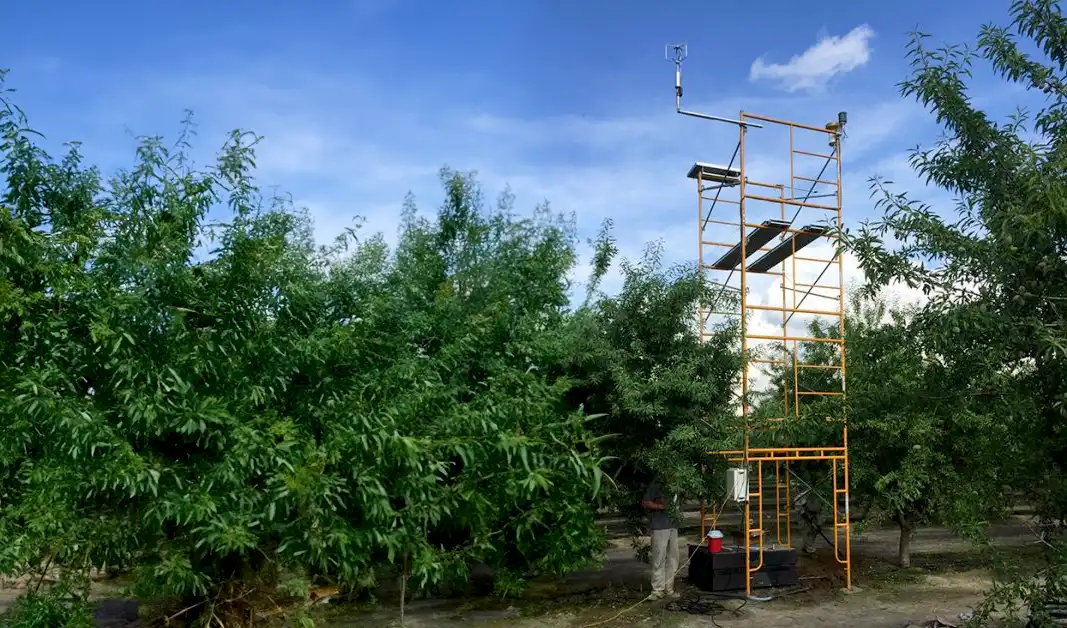 Weather tower made from scaffolding.